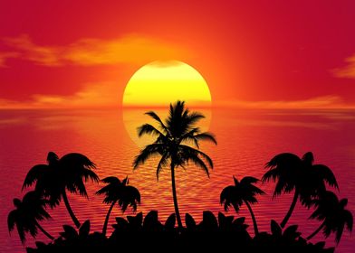 sunset palms