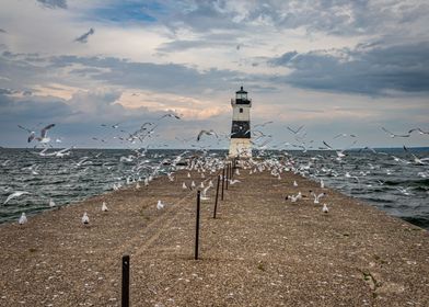 Channel Lighthouse PA