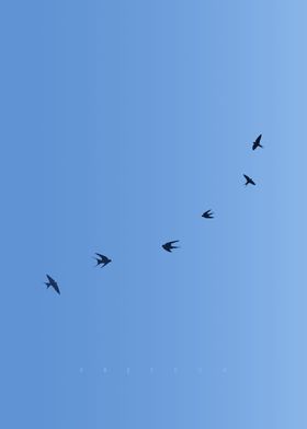 Freedom Swallows Flying