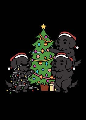 Newfoundland Dog Christmas