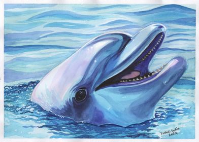 Dolphin watercolor