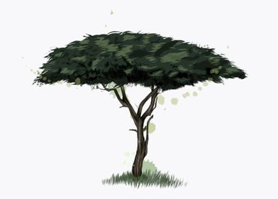 African acacia tree