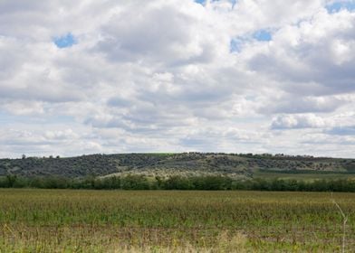 Hill landscape