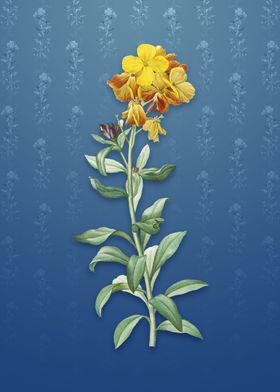 Yellow Wallflower Bloom
