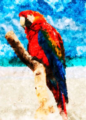 typical parrots