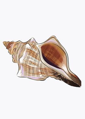 Watercolor sea shell