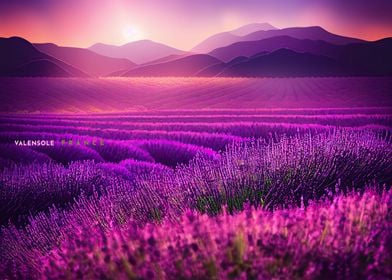 VALENSOLE FRANCE