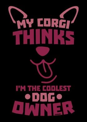 Corgi Coolster dog owner