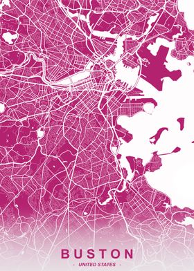 Boston City Map Fleur