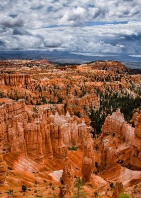 Bryce Canyon Orange Hoodoo