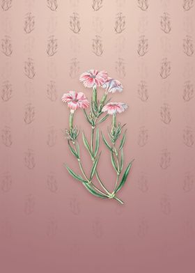 Bisignanos Tree Pink