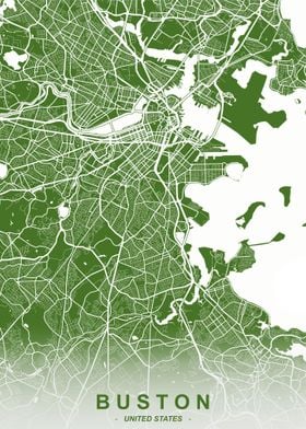 Boston City Map Moss