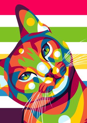 Cat Stare Pop Art