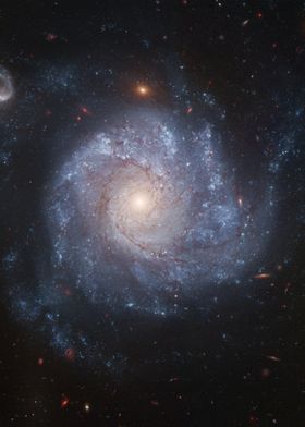 NGC 1309