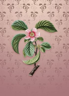 Vintage Chinese Quince