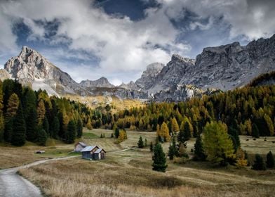 Mountain Valley Views