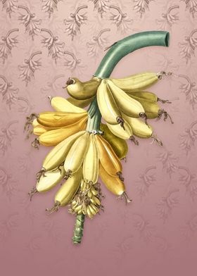 Banana on Dusty Pink