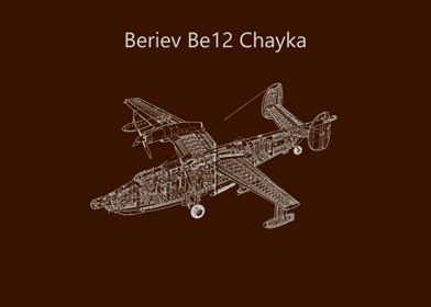 Beriev Be12 Chayka 