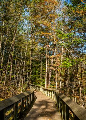 Cuyahoga National Park OH