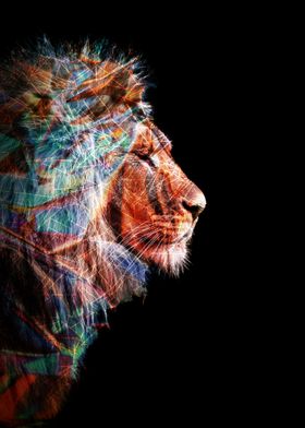 Colour Lion