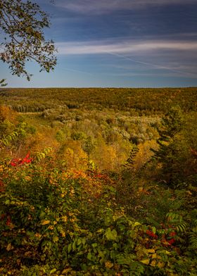 Letchworth State Park NY