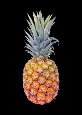 pineapple 