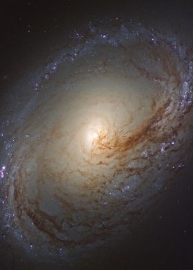 NGC 3368