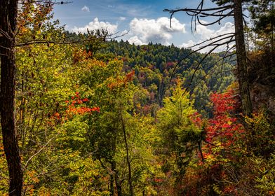 Linville Falls State Park