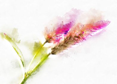 flower watercolor