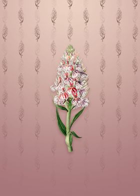 Leafy Spiked Orchis Flower