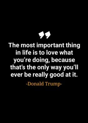 Donald trump quotes 