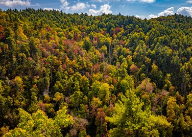 Linville Falls State Park