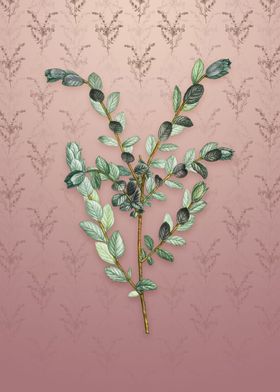 Vintage Creeping Willow