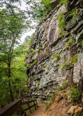 Cloudland Canyon