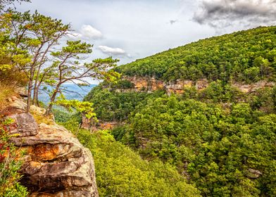 Cloudland Canyon