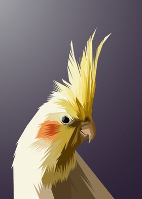 Parrot  Wpap