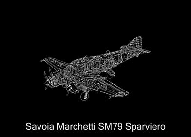 Savoia Marchetti SM79  