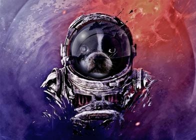 Astronaut