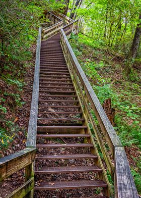 Cloudland Canyon