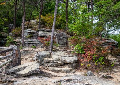 Cloudland Canyon