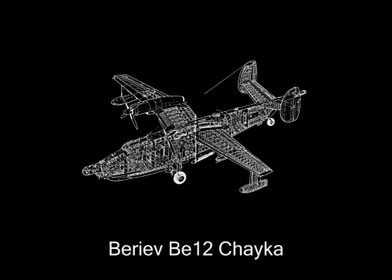 Beriev Be12 Chayka 