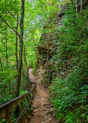 Cloudland Canyon