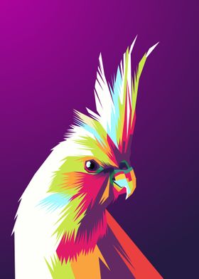 Parrot  Wpap