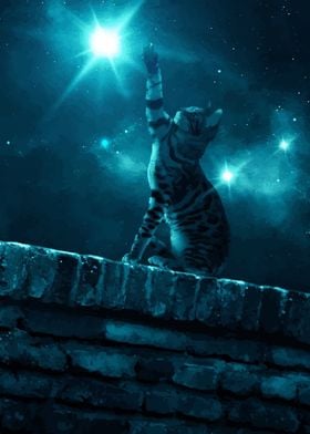 Cat stars lumino blue