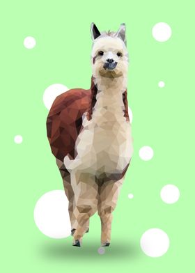 Alpaca