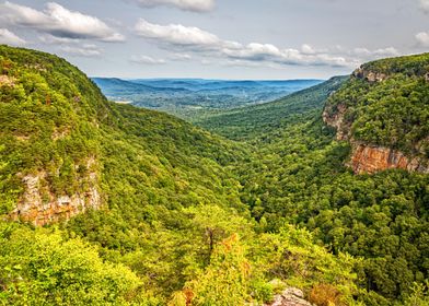 Cloudland Canyon