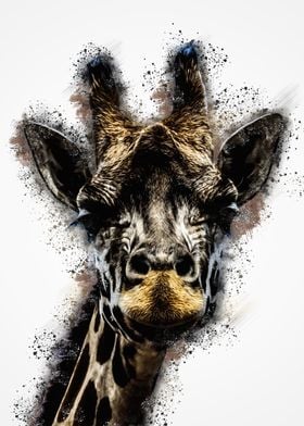 giraffe