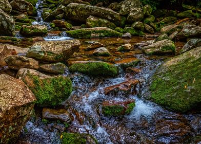 Rainbow Falls Hike