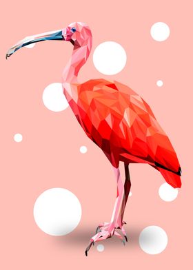 Scarlet Ibis