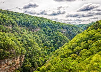 Cloudland Canyon